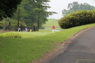 IMG_4277.JPG